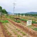 도담농장 이미지