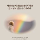 아마레펫 이미지