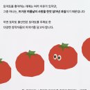 오이소이스튜디오