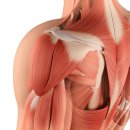 광명리본정형외과의원 이미지