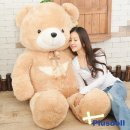 일화상사