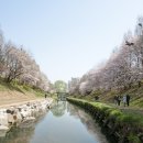 반월놀이공원 이미지