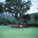 동광리-7 이미지