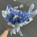 십루트이플로
