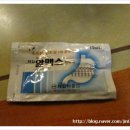 신닭장