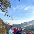 [화담숲] 곤지암 화담숲다녀온 후기! 11월 단풍상황 주차상황 모노레일 예약