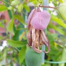 열매이야기 이미지