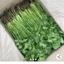 싱싱팜농장 이미지