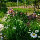 쟁여울황토 이미지