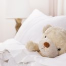 펠트 & 생활소품 리본아트, 양말 공예 이미지