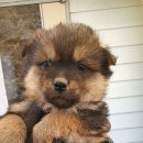 당북초등학교 이미지