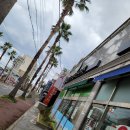 꾸러기소아청소년과의원 이미지