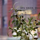 모힝