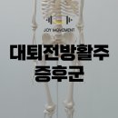 조이무브먼트 이미지