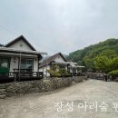 아리숲펜션