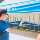 담양대나무축제 이미지