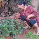 현수농장 이미지