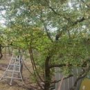 신세계부동산중개사무소 이미지