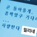 밀리네감자탕 이미지