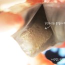 보민한의원 이미지