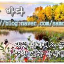 안남로253번길 이미지