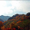 강천산 Daum카페