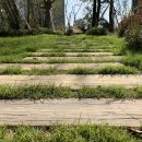 씨 라이프 이미지