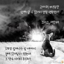 무지개광고 - 강화군 중앙로 142-1 | 무지개광고