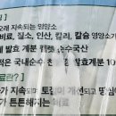 바이오비트