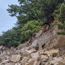 신도평화대교를 건너서 신도,시도,모도(8.22.토) 이미지