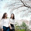호텔 소풍 이미지
