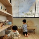 조이팜
