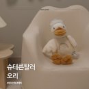 인형쓰다 | 슈테른탈러 오리인형 에다 아기 애착인형 사용 후기