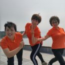 경상북도 광역치매센터 이미지