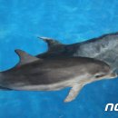 주식회사 마린파크 이미지