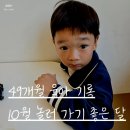 리프패럿여주점 | 49개월 육아 일기 놀러 가기 좋은 달