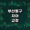프랜드치과의원 | 부산 동구 치아교정 잘하는 전문치과 병원 추천 | 비용 후기 설측교정 돌출입 앞니 투명 무턱 부분...