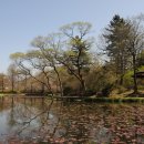 광릉수목원 이미지