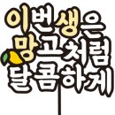 지리산찹쌀홍화동동주