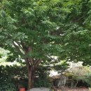 살미면 중원대로 2577-7, (세성리) | 충주 맛집 명산가든｜정성가득한 돌솥비빔밥 한끼