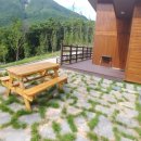 보현산자연휴양림 이미지