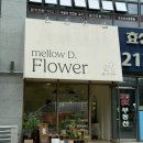 멜로우디 | [수원 전시회/광교 꽃집] 노송갤러리/멜로우디플라워::장안구청 개인전/축하할 일 있을때 생각나는 색감...