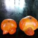 은곡농장 이미지