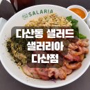 샐러리아다산점 이미지