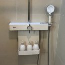 낙천서가 이미지