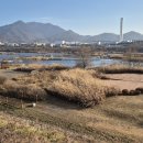 용교리제방 Daum카페