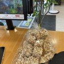 비에이치씨 휘경점 이미지