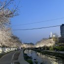 지에스25 천안원성천점 이미지