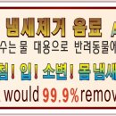 당감동물병원 이미지
