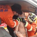 울산온산소방서 연합뉴스